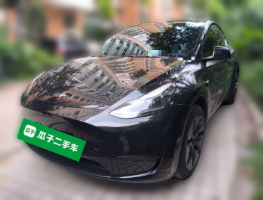 Tesla Model Y 2023 Tesla Model Y 2023 car image