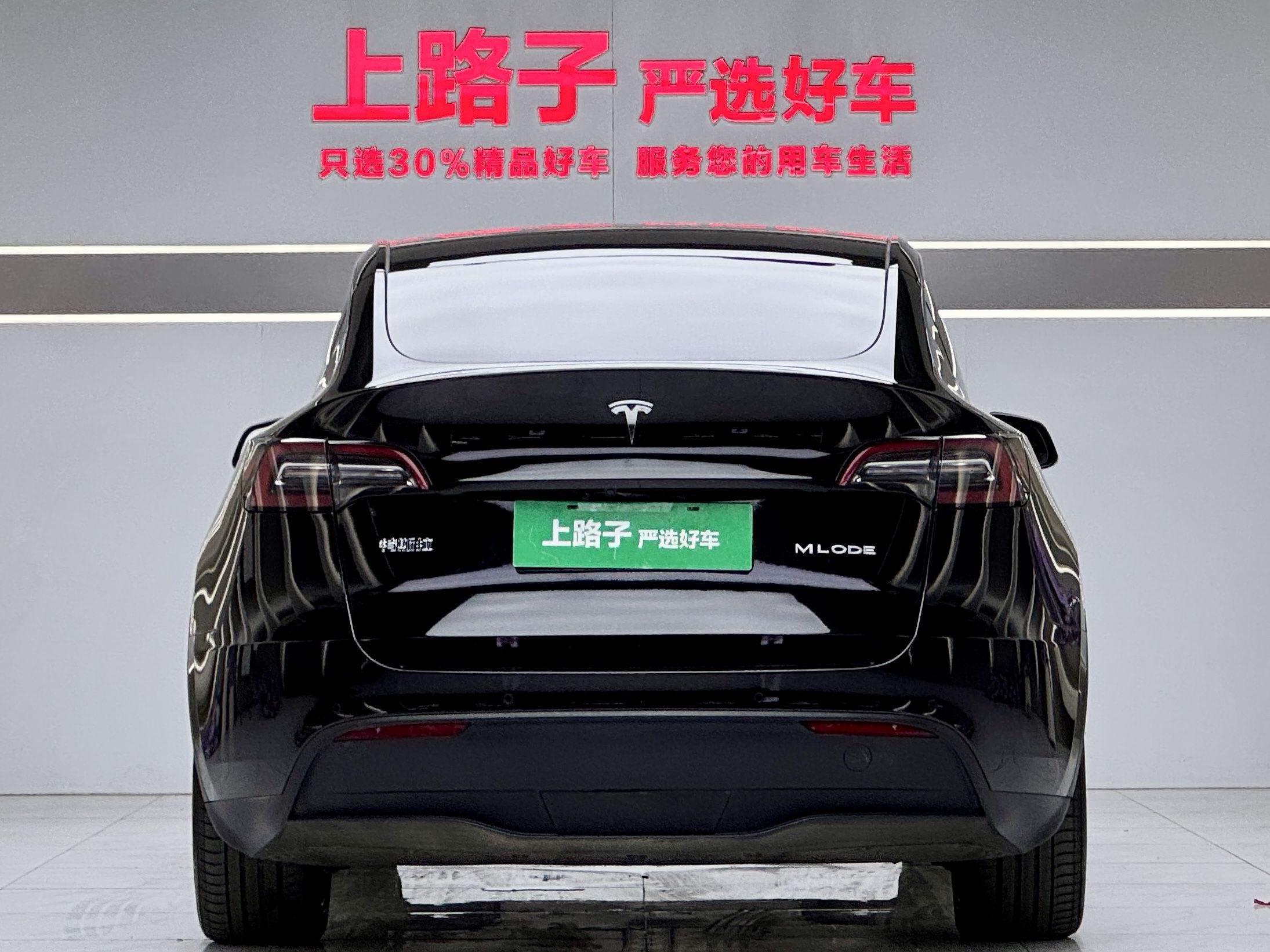 Tesla Model Y 2021 car image #3