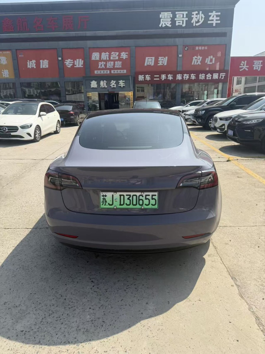 Tesla Model 3 2021 car image #6