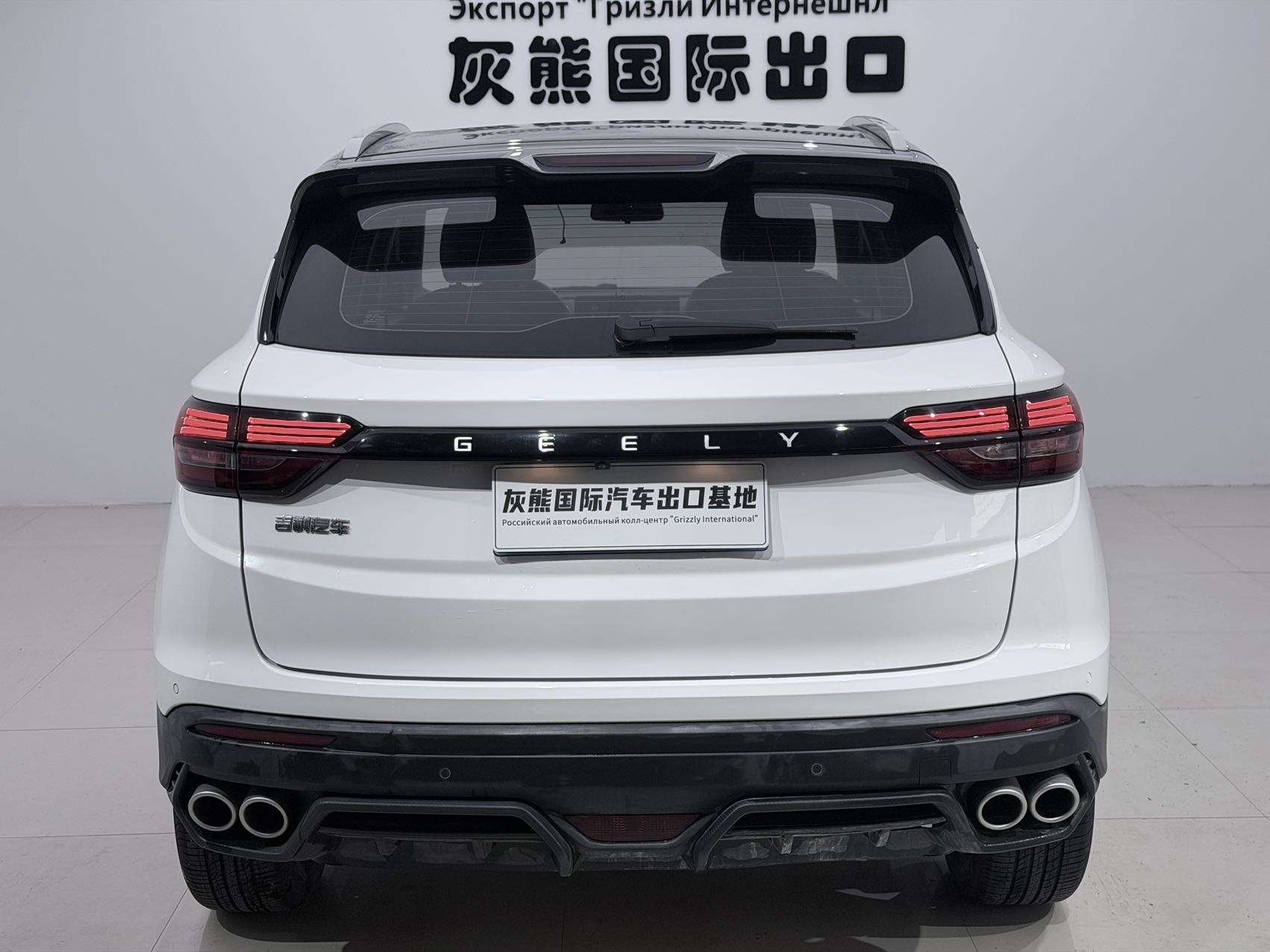 GEELY Coolray 2021 image de voiture #5