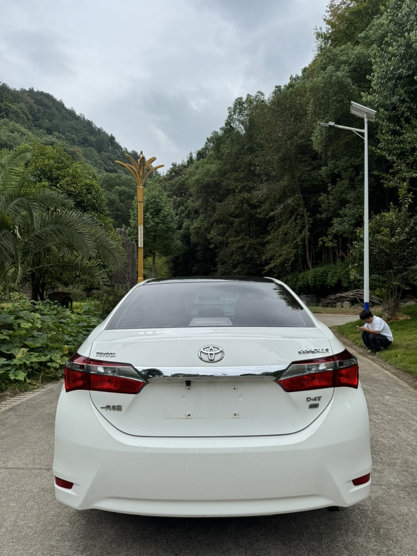 Toyota Corolla 2018 car image #5