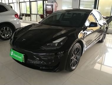 Tesla Model 3 2021 Tesla Model 3 2021 car image