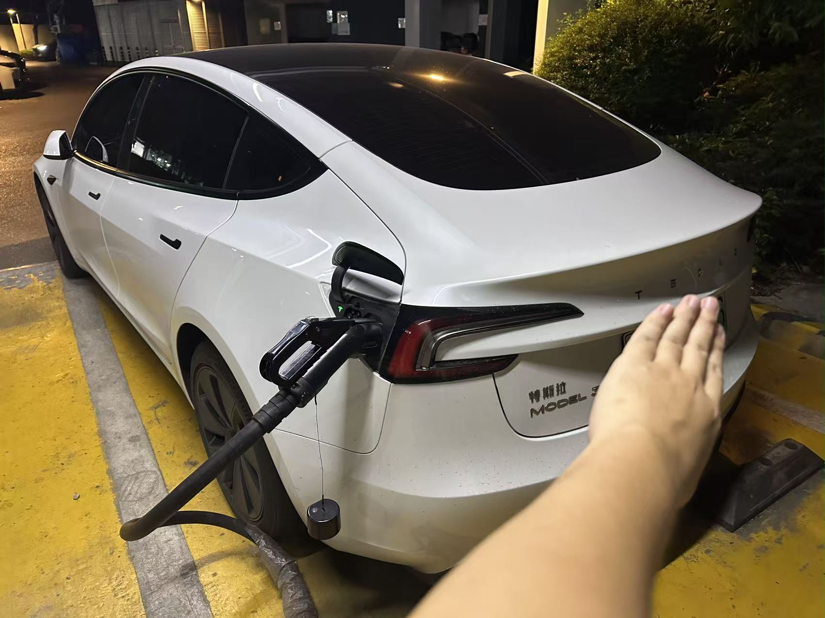 Tesla Model 3 2025 imagem de carro #4