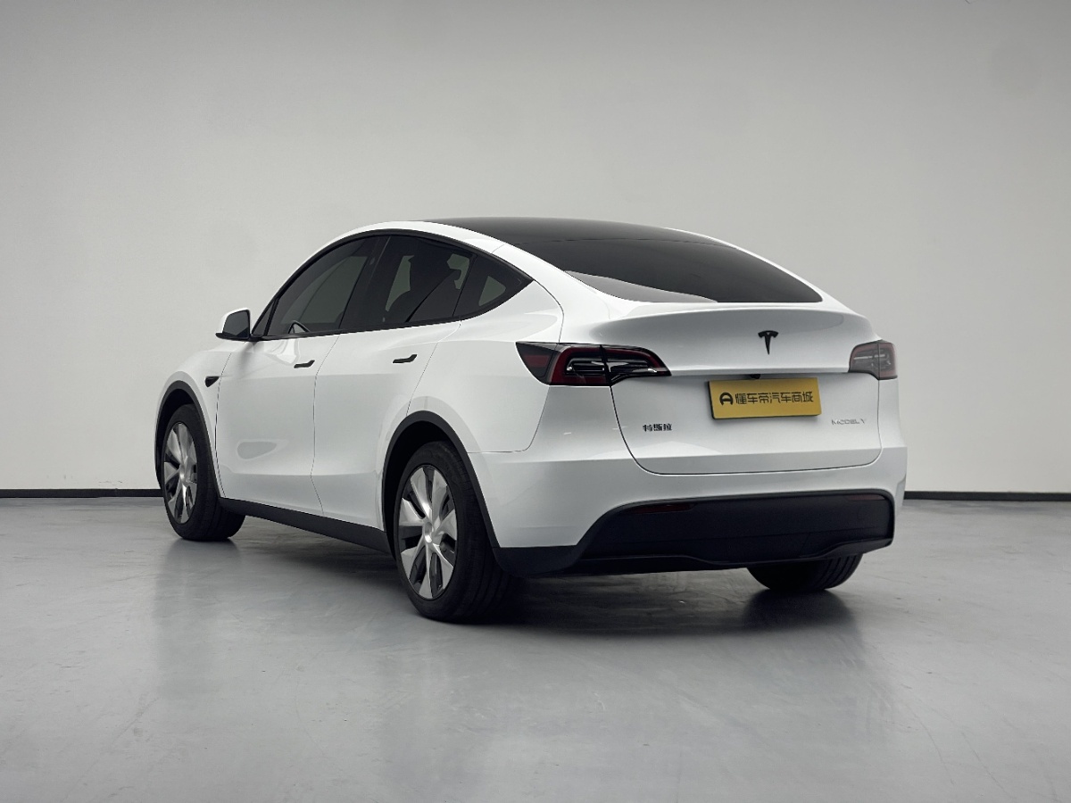 Tesla Model Y 2024 car image #7