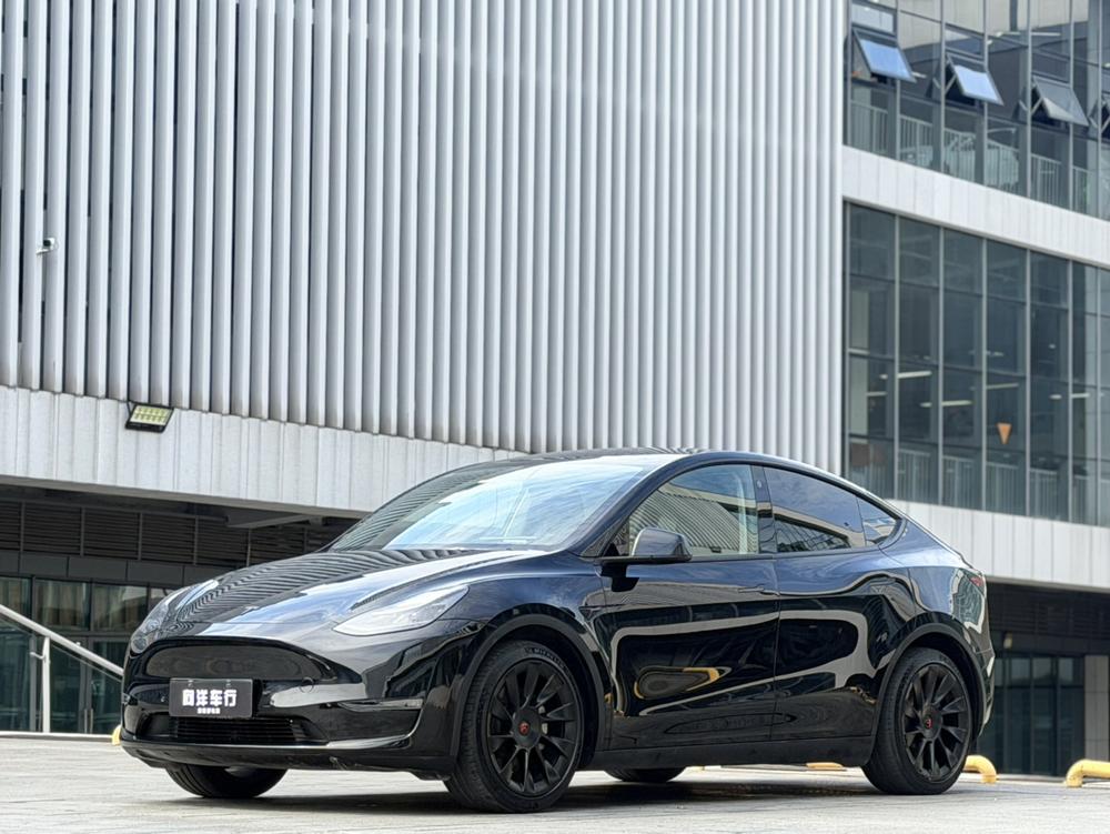 Tesla Model Y 2021 Tesla Model Y 2021 car image