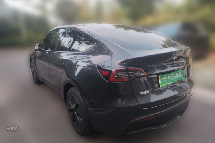 Tesla Model Y 2024 car image #5