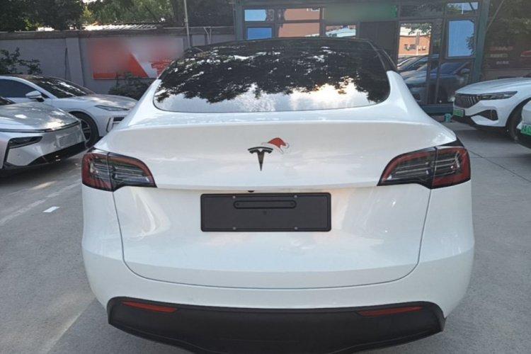 Tesla Model Y 2021 #6 Tesla Model Y 2021 car image #6