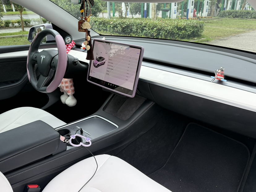 Tesla Model Y 2021 #8 Tesla Model Y 2021 car image #8