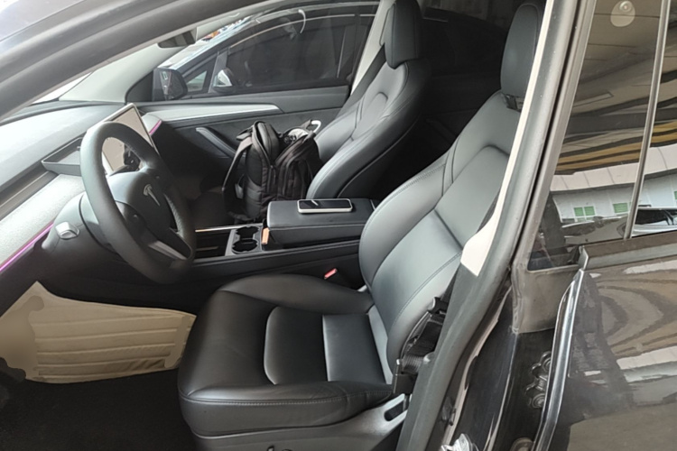 Tesla Model Y 2024 car image #15
