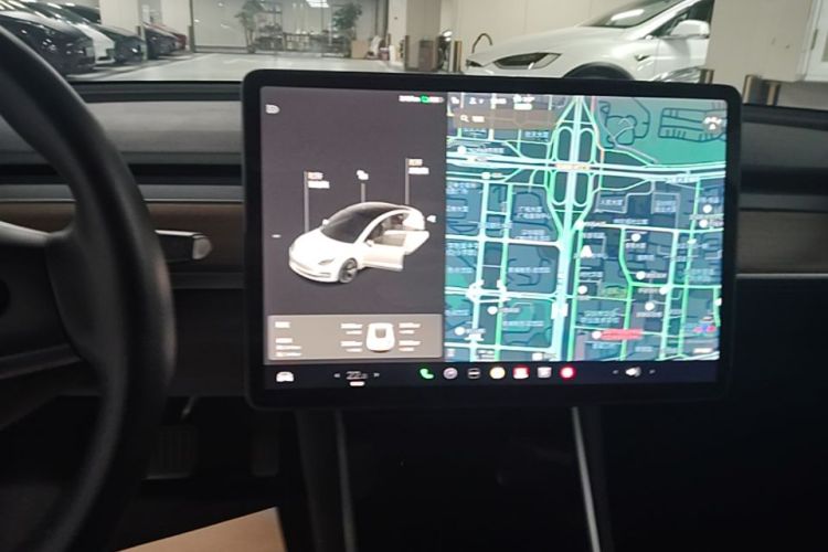Tesla Model 3 2020 car image #14