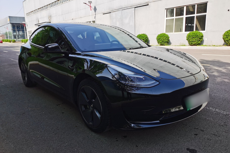 Tesla Model 3 2021 car image #4