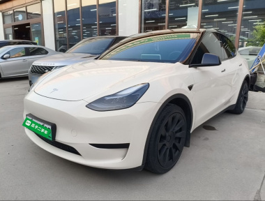 Tesla Model Y 2023 Tesla Model Y 2023 car image