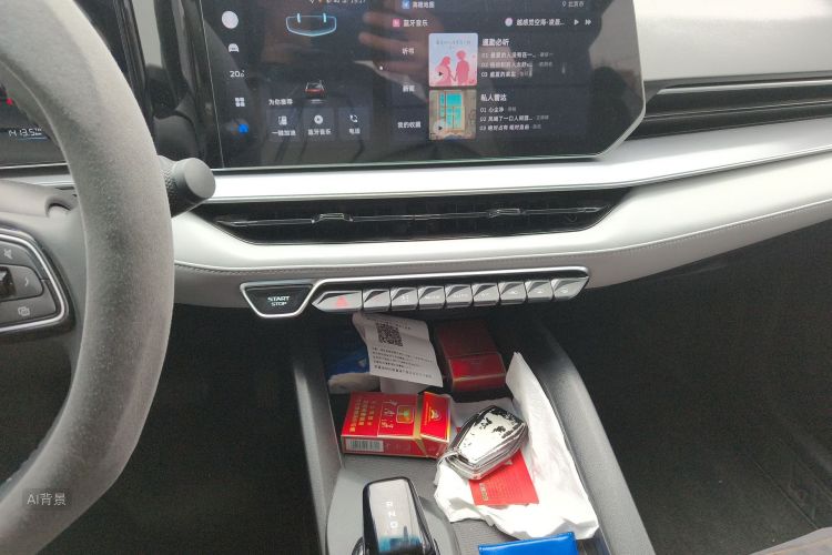 GEELY Binray 2024 image de voiture #15