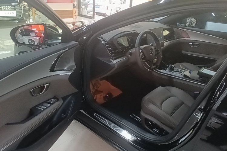 BYD Han 2022 immagine di auto #16