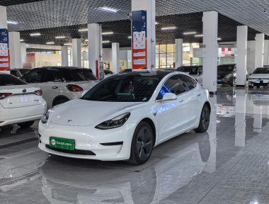 Tesla Model 3 2020 Tesla Model 3 2020 car image