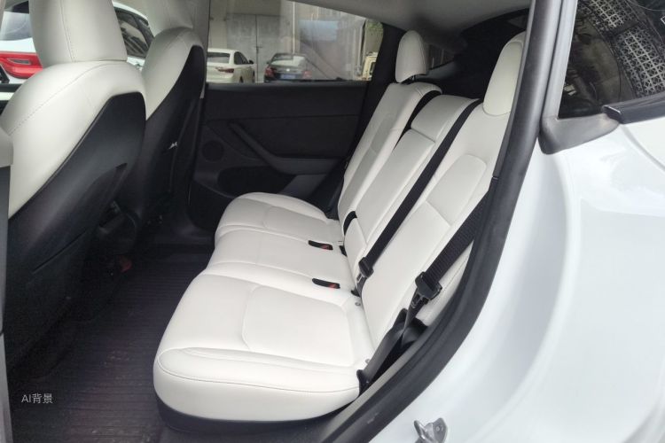 Tesla Model Y 2023 car image #19