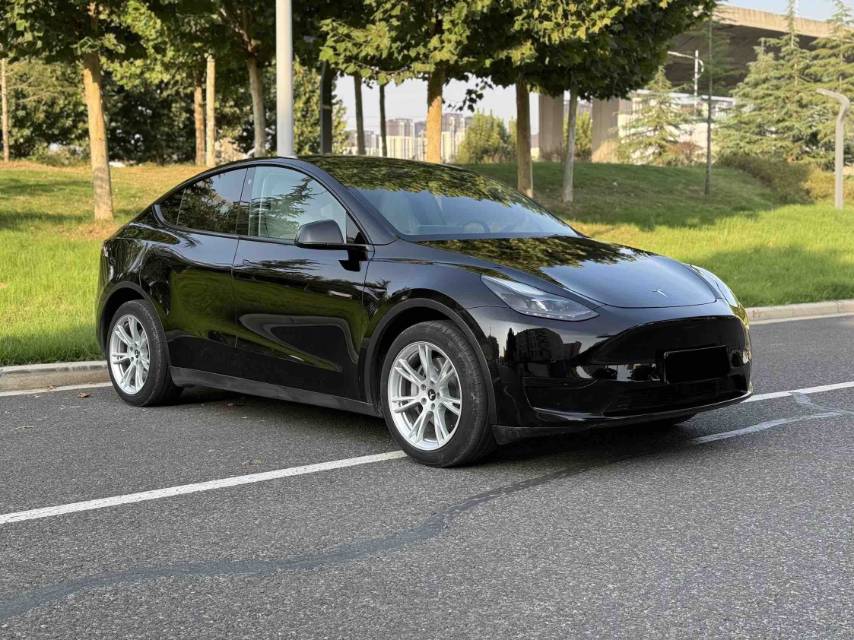 Tesla Model Y 2022 #3 Tesla Model Y 2022 صورة سيارة #3