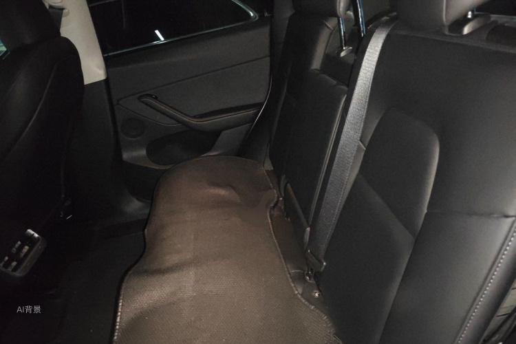 Tesla Model Y 2023 car image #19
