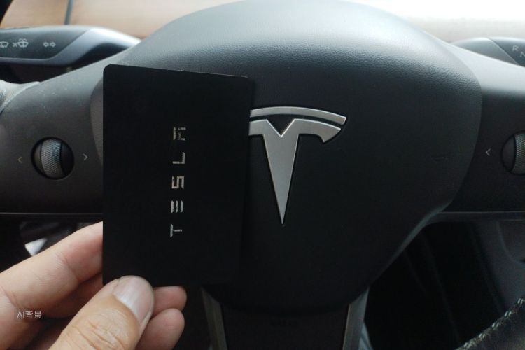 Tesla Model 3 2021 car image #10