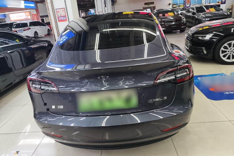 Tesla Model 3 2020 immagine di auto #6