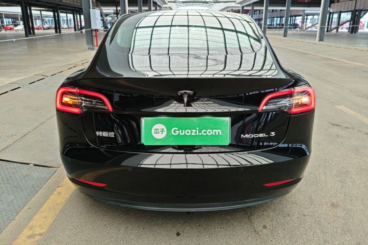 Tesla Model 3 2020 car image #4