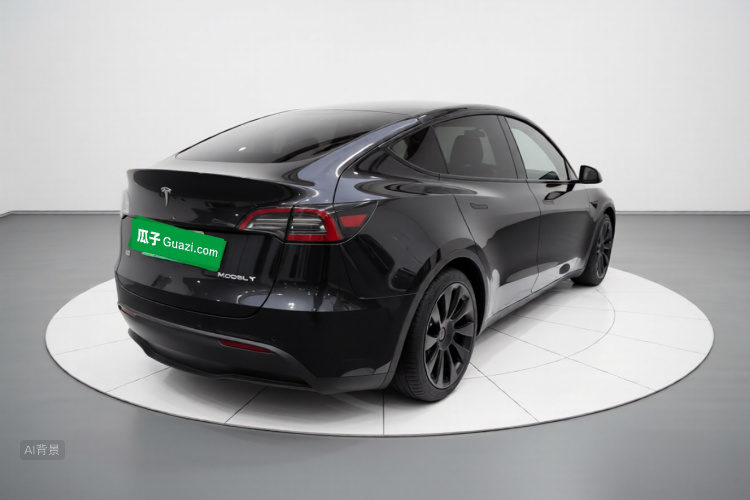 Tesla Model Y 2021 car image #7