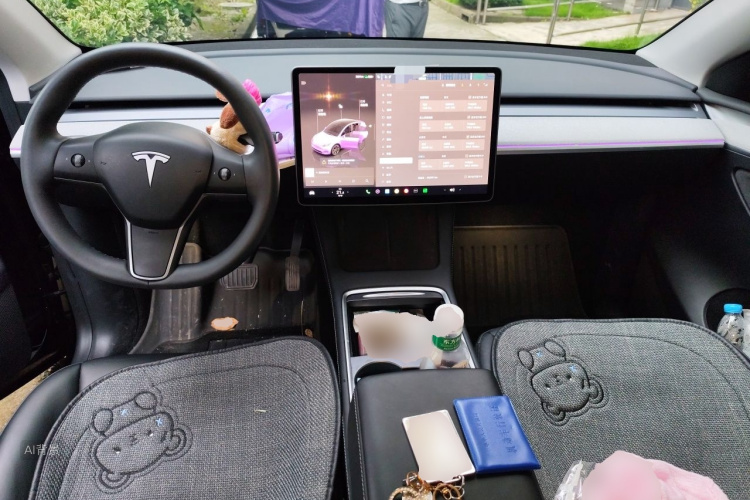 Tesla Model Y 2023 #11 Tesla Model Y 2023 car image #11