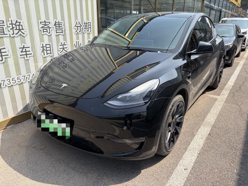 Tesla Model Y 2022 car image 