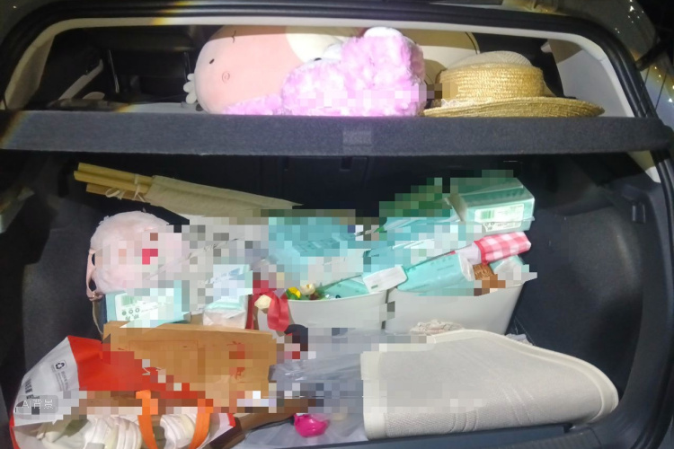 Volkswagen Golf 2021 car image #21