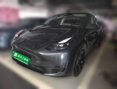 Tesla Model Y 2024 Tesla Model Y 2024 car image