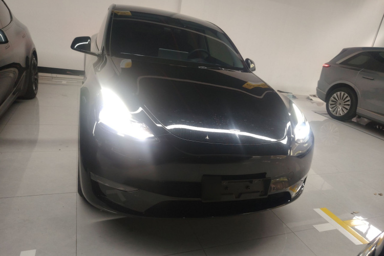 Tesla Model Y 2023 #3 Tesla Model Y 2023 car image #3