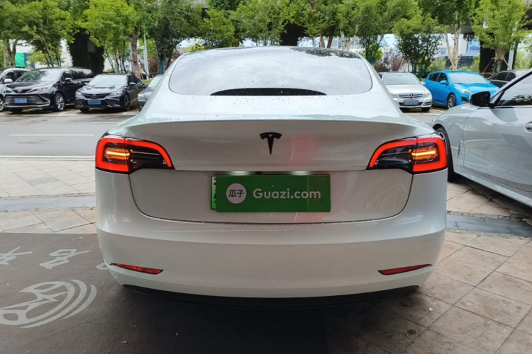 Tesla Model 3 2023 #6 Tesla Model 3 2023 car image #6
