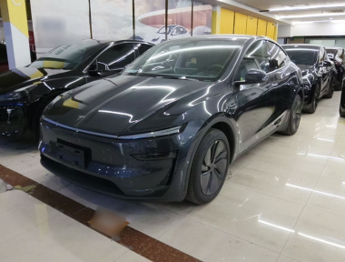 Tesla Model Y 2025 Tesla Model Y 2025 car image