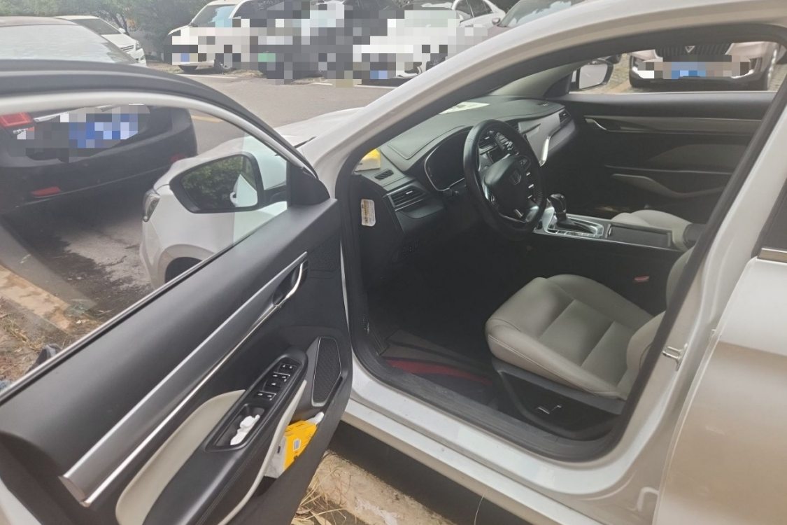 GEELY Binray 2018 car image #23