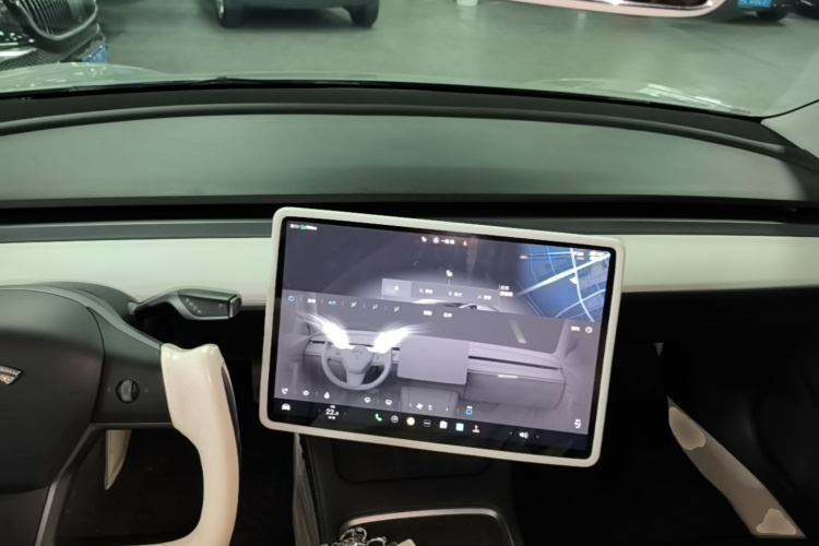 Tesla Model 3 2023 immagine di auto #10