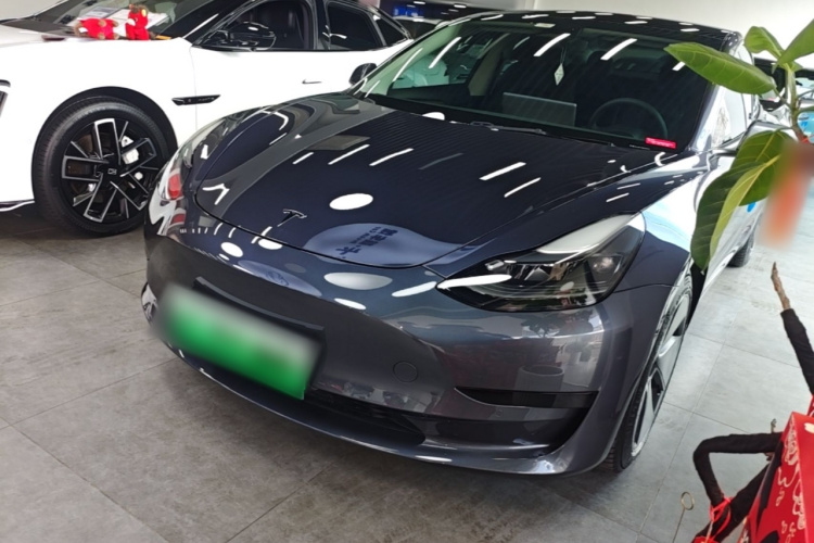 Tesla Model 3 2021 #2 Tesla Model 3 2021 car image #2