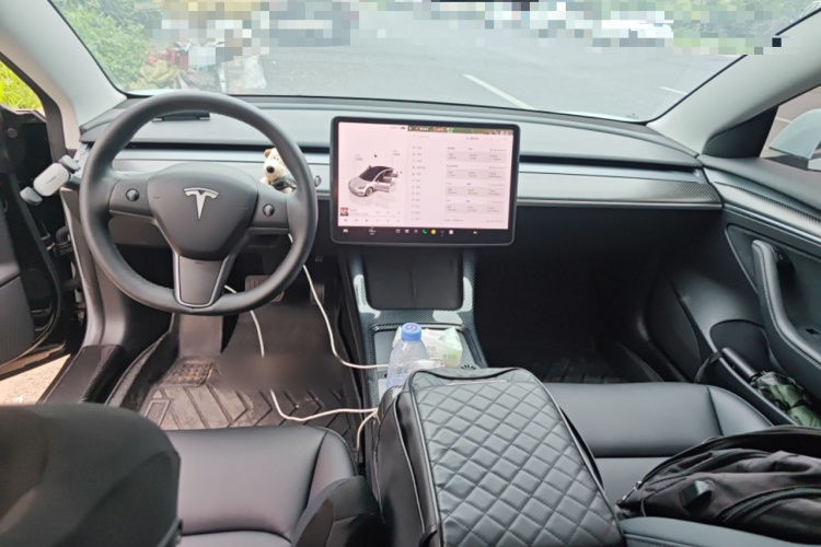Tesla Model 3 2023 car image #12