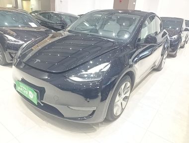 Tesla Model Y 2021 Tesla Model Y 2021 car image