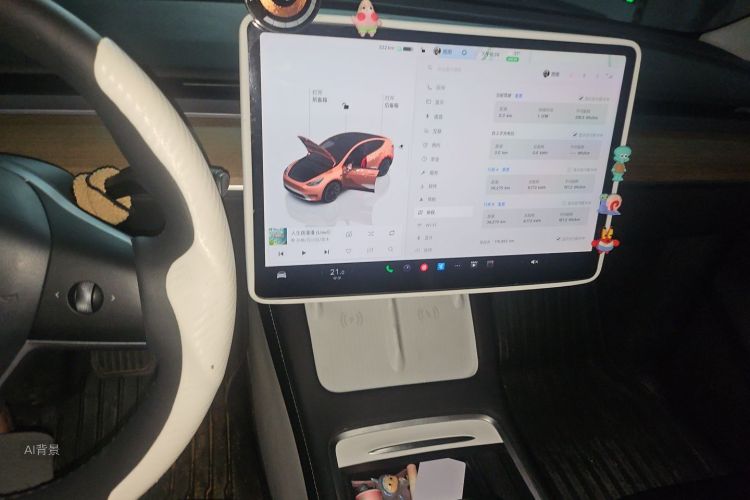 Tesla Model Y 2022 #15 Tesla Model Y 2022 car image #15