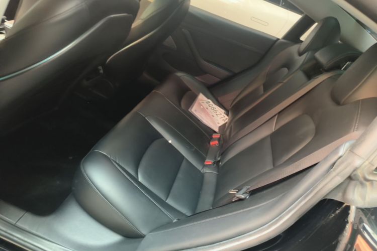 Tesla Model 3 2020 immagine di auto #17