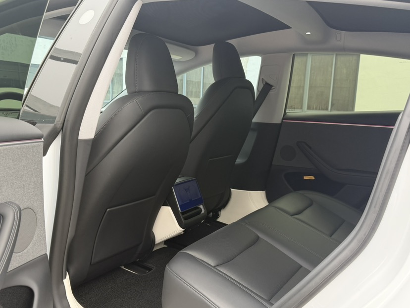 Tesla Model 3 2024 #5 Tesla Model 3 2024 car image #5