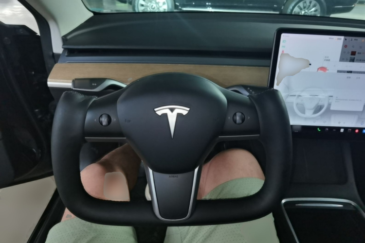 Tesla Model 3 2021 #11 Tesla Model 3 2021 car image #11
