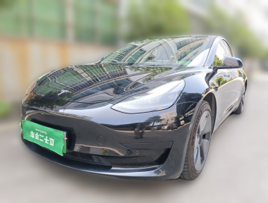 Tesla Model 3 2021 car image 