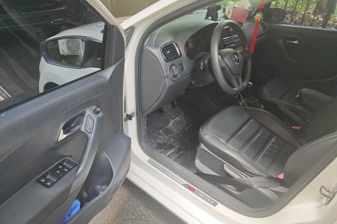 Volkswagen Polo 2014 car image #25