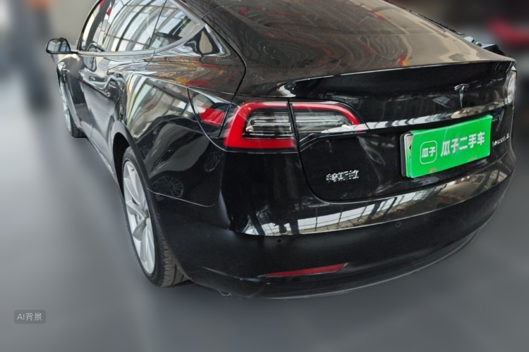 Tesla Model 3 2021 car image #5