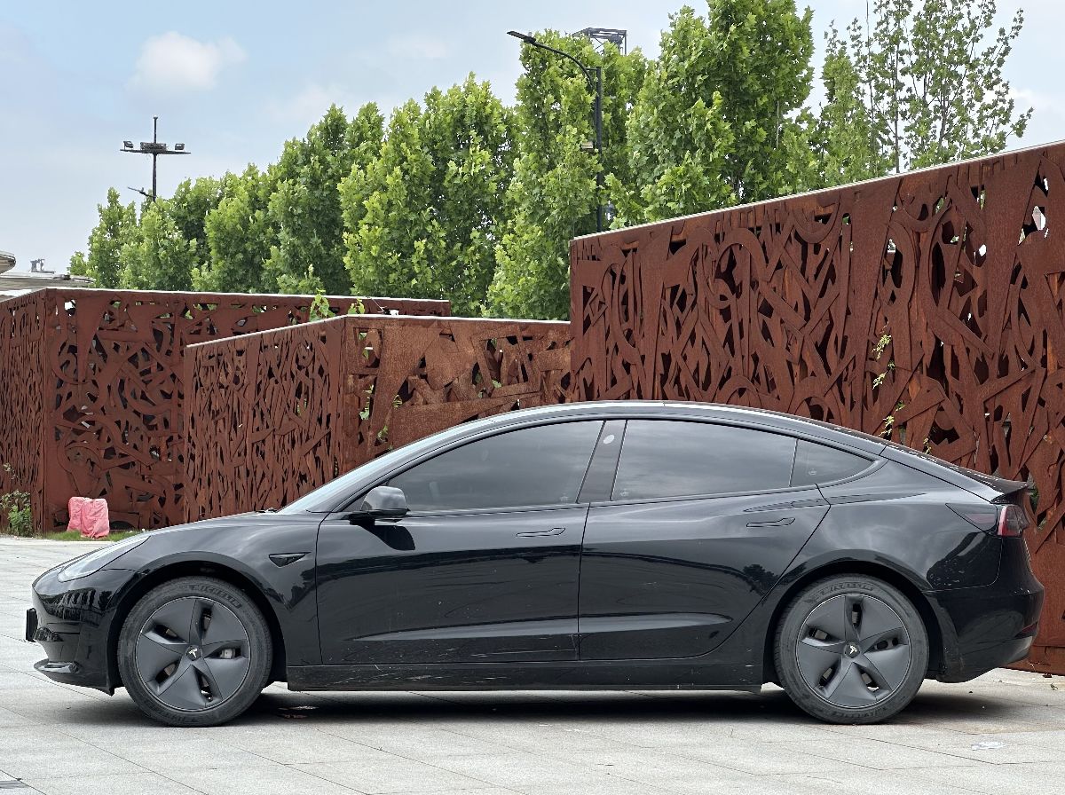 Tesla Model 3 2020 car image #4
