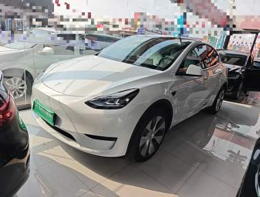 Tesla Model Y 2023 Tesla Model Y 2023 car image