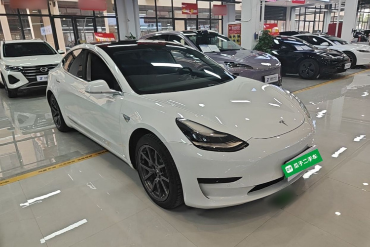 Tesla Model 3 2020 #4 Tesla Model 3 2020 car image #4