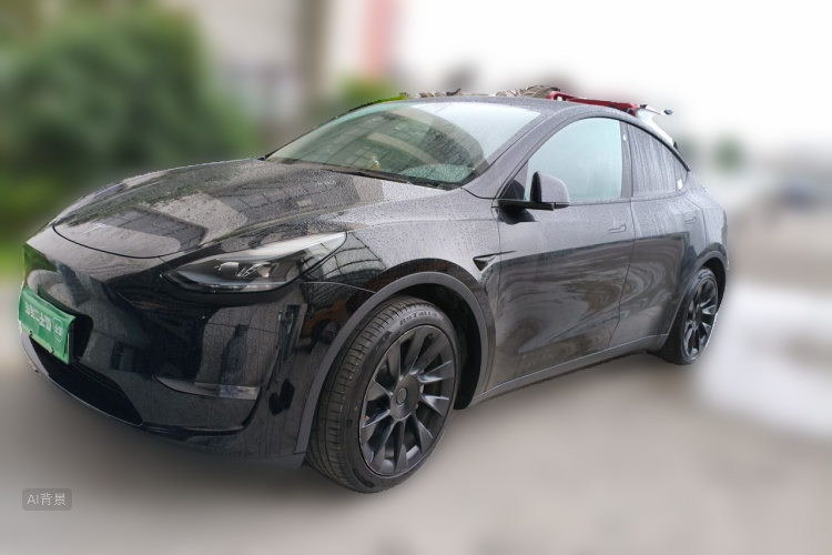 Tesla Model Y 2021 #2 Tesla Model Y 2021 car image #2