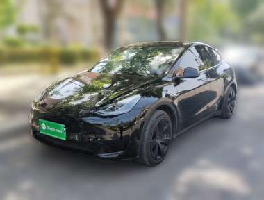 Tesla Model Y 2023 Tesla Model Y 2023 car image